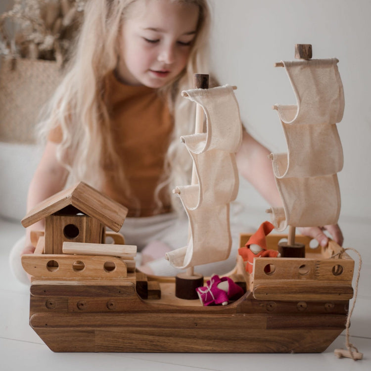 Premium Wooden Toys