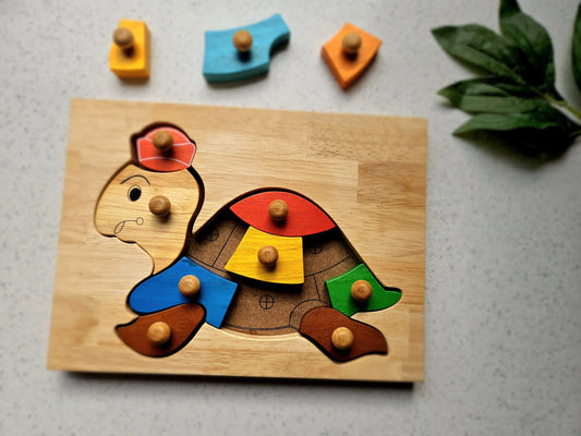 Wooden Turtle Knob Puzzle - QToys | Wooden Toy NZ
