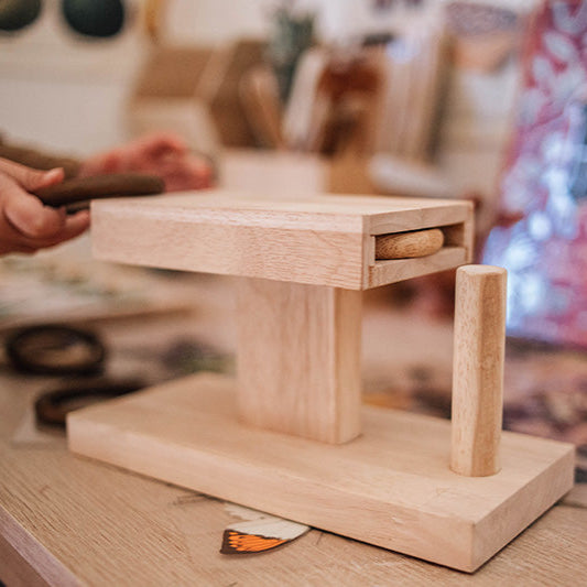 Wooden Montessori Rings Posting Activity - Qtoys | Montessori Toy NZ