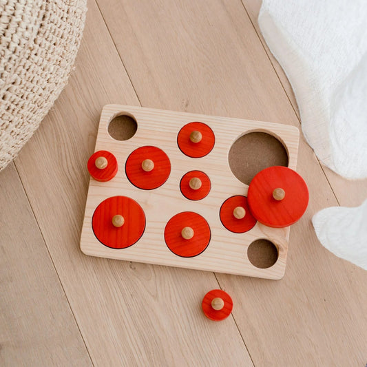 Montessori Size Sorting Knob Puzzle - Qtoys | Wooden Toy NZ