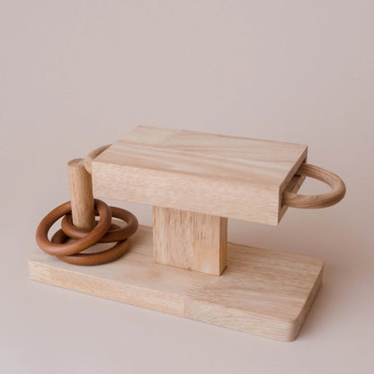 Wooden Montessori Rings Posting Activity - Qtoys | Montessori Toy NZ