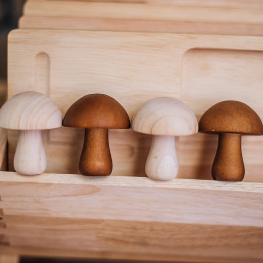 Set of QToys wooden mushrooms in a wooden box