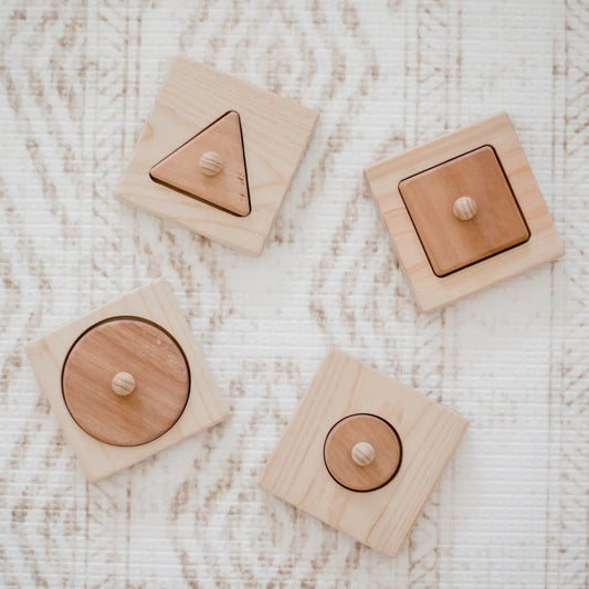 Wooden Single Shape Puzzle Set of 4 – QToys